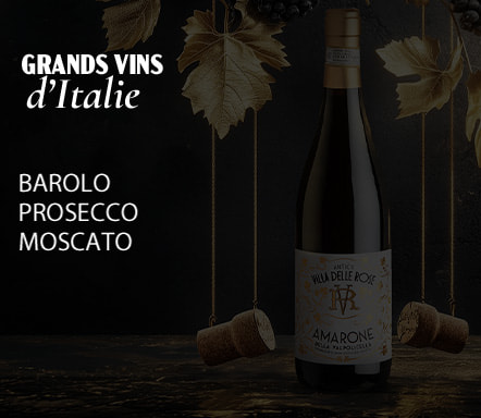 Grands vins d'Italie