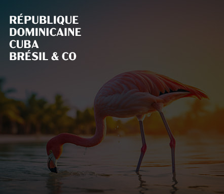 République Dominicaine, Cuba, Brésil & co