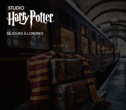 Harry Potter : séjours à Londres