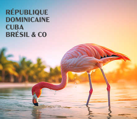 République Dominicaine, Cuba, Brésil & co