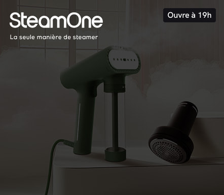 SteamOne