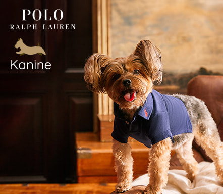 Ralph Lauren Pets