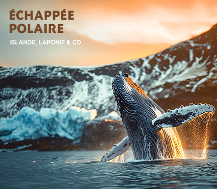 Echappée polaire Islande, Laponie & co