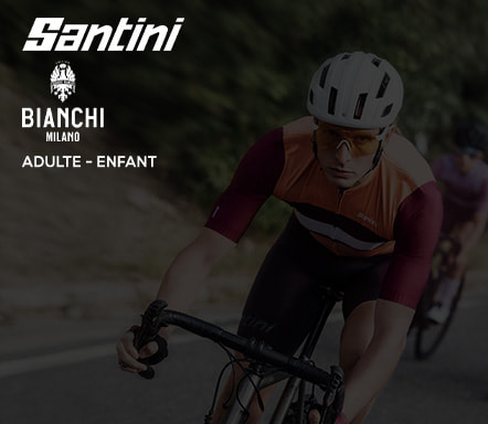 Santini