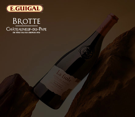 Vignoble de la Vallée du Rhône