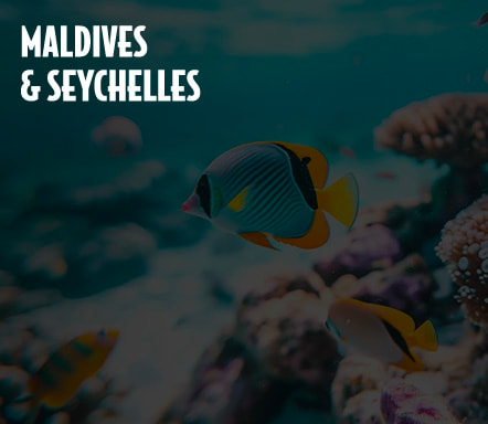 Maldives et Seychelles