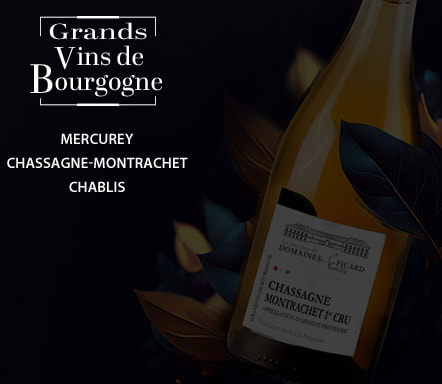 Grands vins de Bourgogne