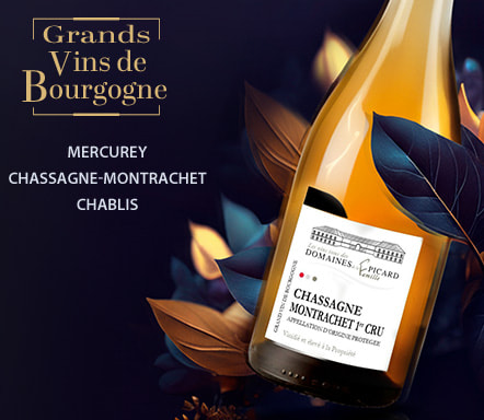 Grands vins de Bourgogne
