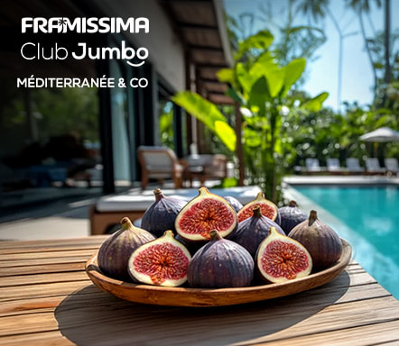 Méditerranée & Co by Fram