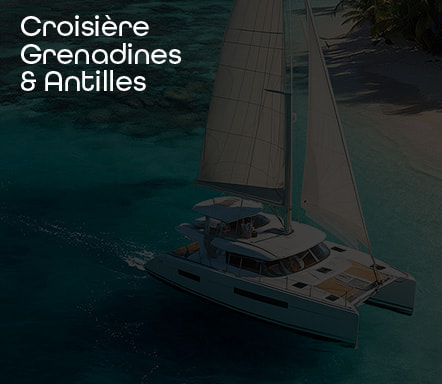 Croisière Grenadines & Antilles