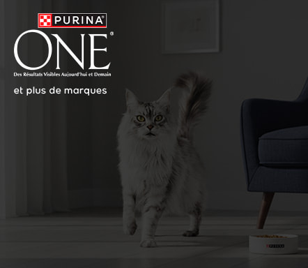 Purina