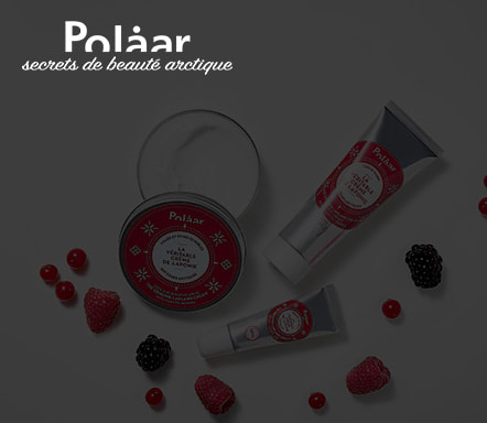 Polaar