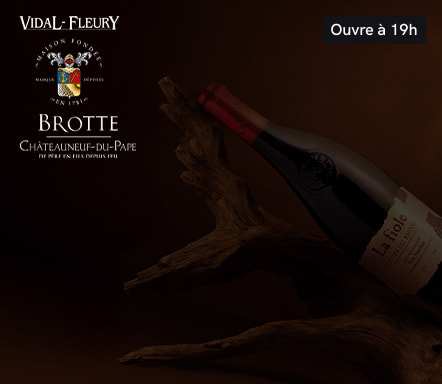 Vignoble de la Vallée du Rhône