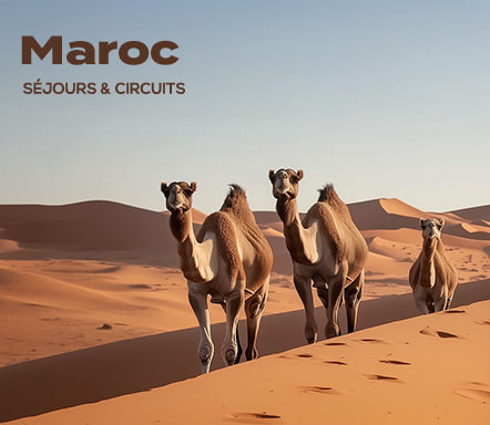 Maroc séjours & circuits