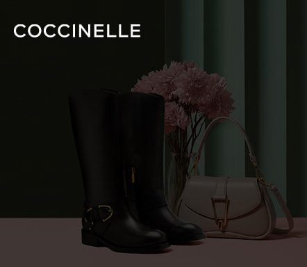 Coccinelle