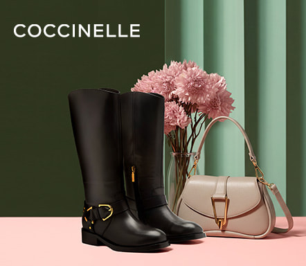 Coccinelle