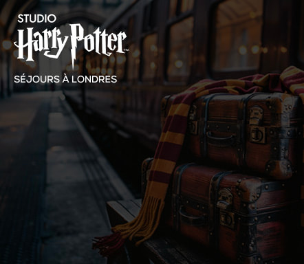 Londres x Studio Harry Potter