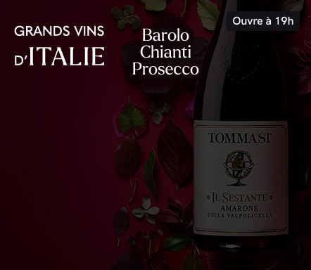 Grandi vini d'Italia