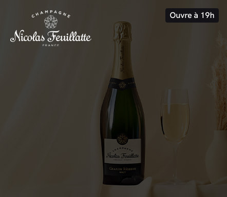 TERROIRS ET VIGNERONS DE CHAMPAGNE FEUIL