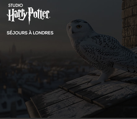 Londres x Studio Harry Potter