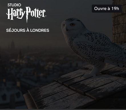 Londres x Studio Harry Potter