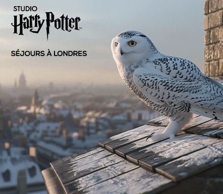 Londres x Studio Harry Potter
