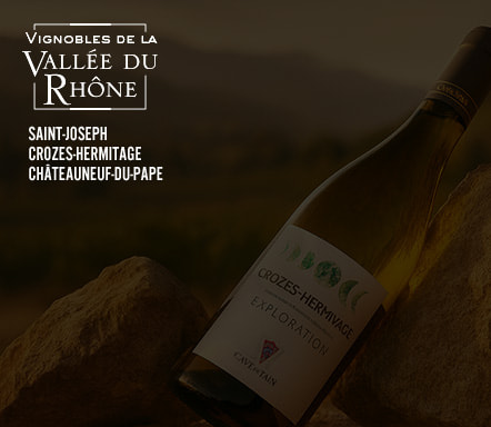 Vins de la Vallée du Rhône