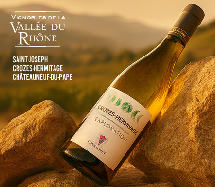 Vins de la Vallée du Rhône