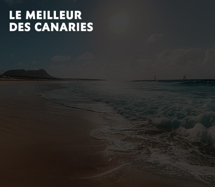 Le meilleur des Canaries