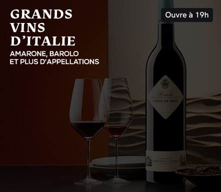 Grandi vini d'Italia