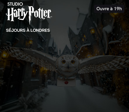 Studio Harry Potter : séjours à Londres