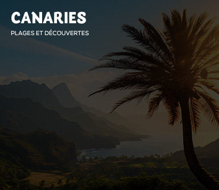 Iles Canaries Plages & Découvertes