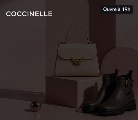 Coccinelle