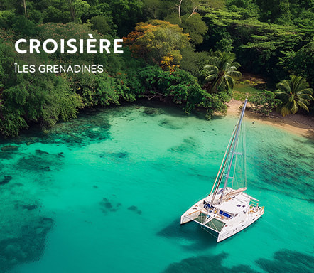Croisières : îles grenadines