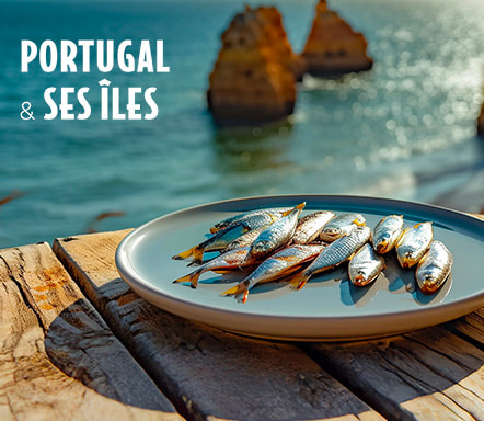 Portugal & ses îles 