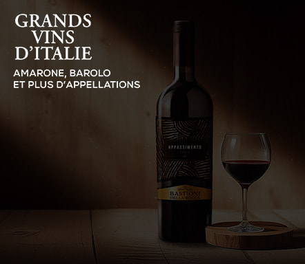 Grands vins d'Italie
