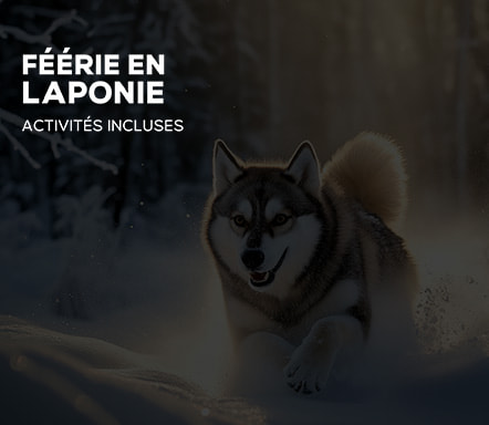 Féérie en Laponie - Activités incluses