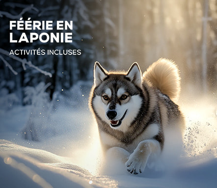 Féérie en Laponie - Activités incluses