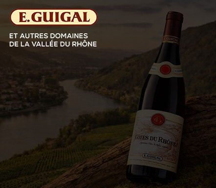 Vignoble de la Vallée du Rhône