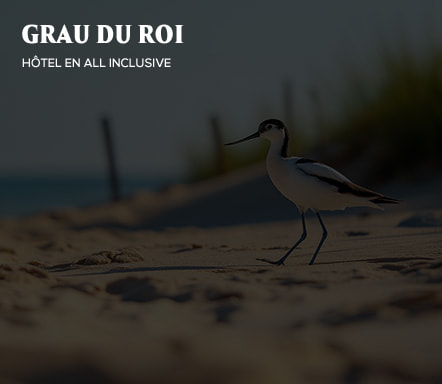 Grau du Roi - Hôtel en All Inclusive