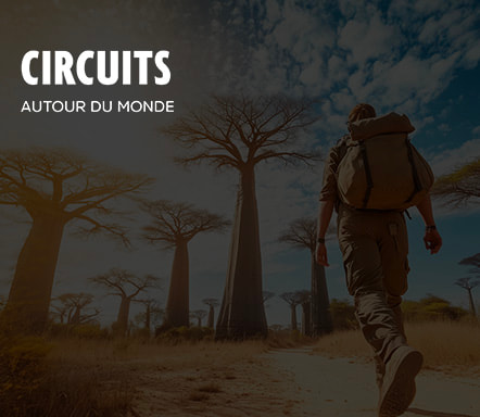 Circuit autour du monde