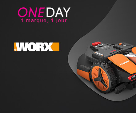 Worx