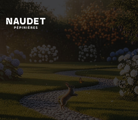 Pépinières Naudet