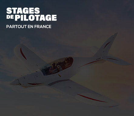 WHITE-BIRD Découverte