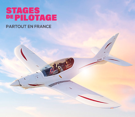 WHITE-BIRD Découverte