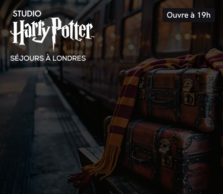Studio Harry Potter : séjours à Londres