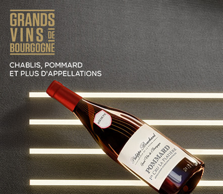 Grands vins de Bourgogne