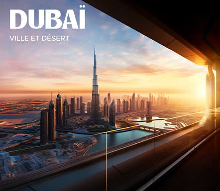 Dubaï - Ville et désert