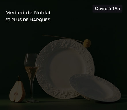 MEDARD DE NOBLAT