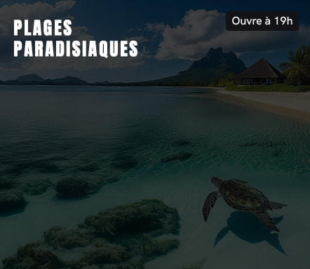 Plages paradisiaques